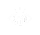 Vision
